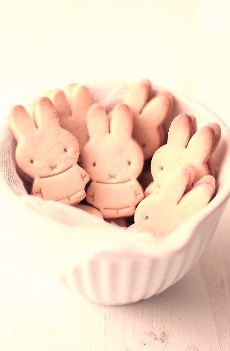 Tiny Bunny Cookies